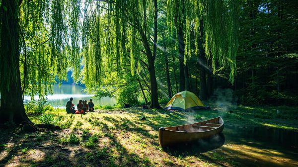Top choix pour des vacances éco-responsables en camping